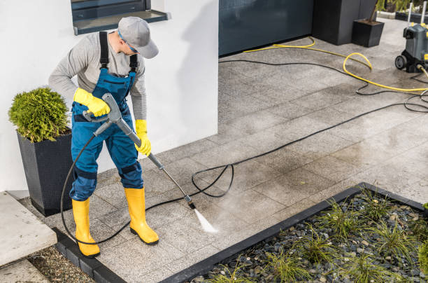 Best Pressure Washing Services for Businesses  in Rogersville, TN